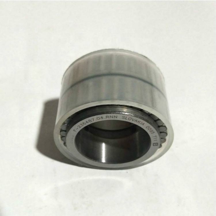 F-236487 Bearing Double Row Cylindrical Roller Bearing F-236487.04.RNN Size 29x42.37x31.35mm